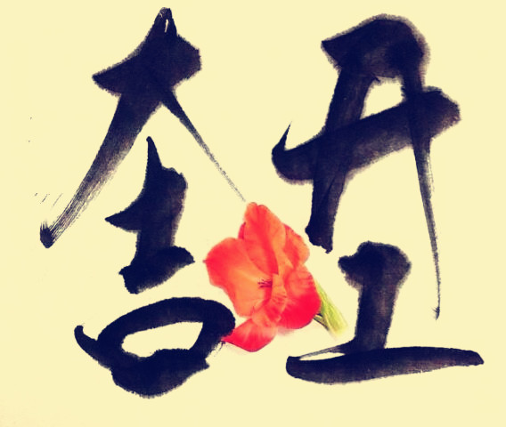 駿業(yè)包裝開工大吉！